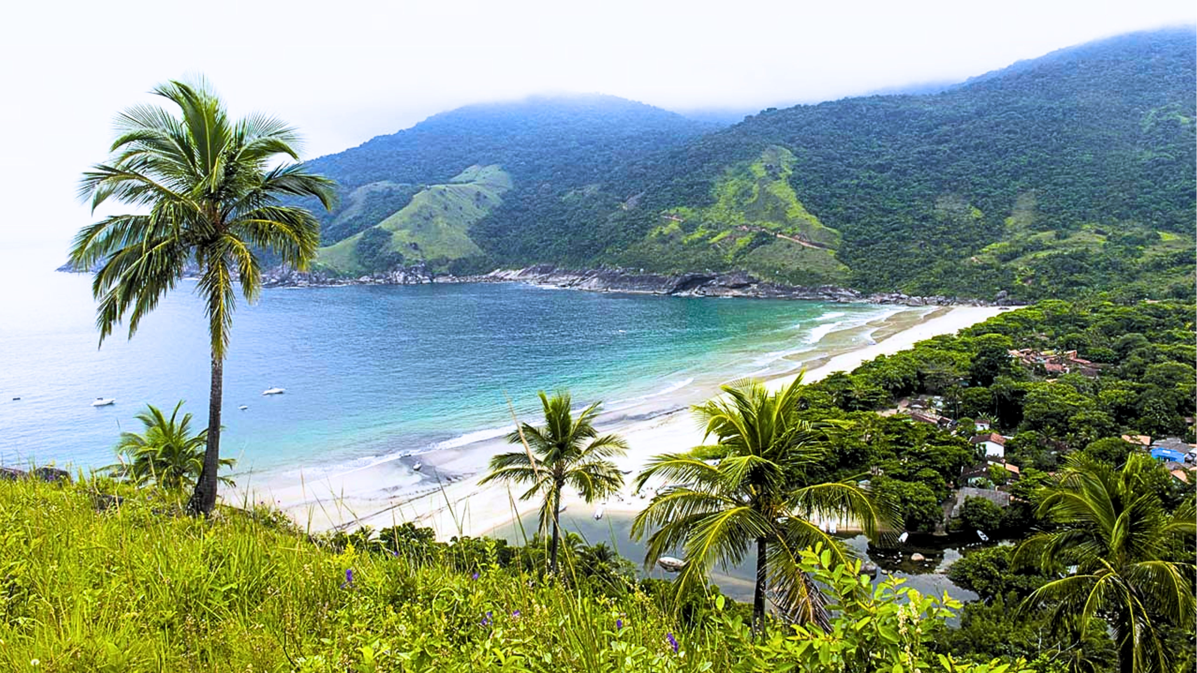 Passeio para Praia do Bonete em Ilhabela com a Dagami Tour