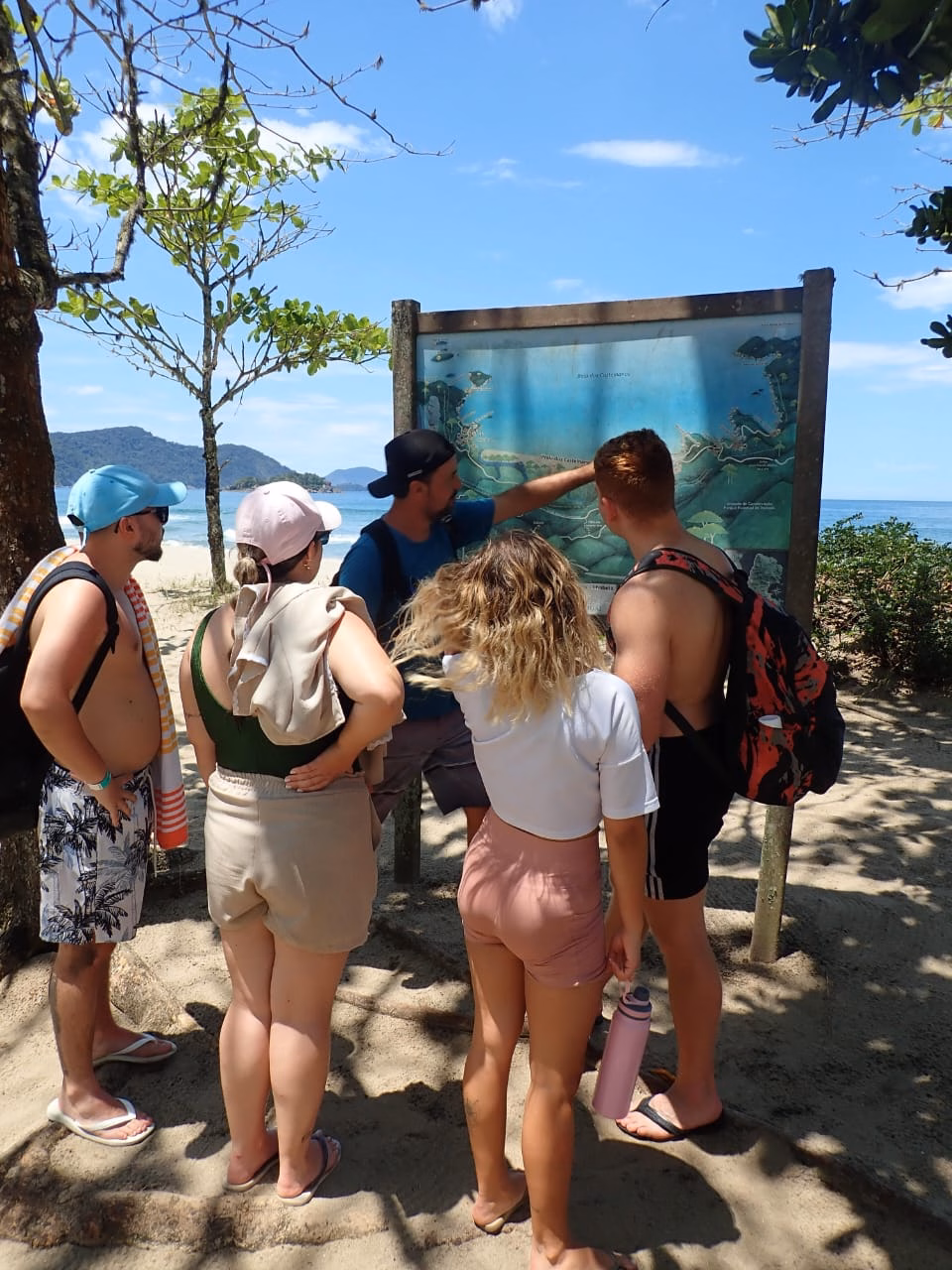 Mata Atlântica no Parque Estadual de Ilhabela